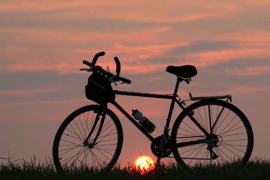 Gdzie jechać na wycieczkę rowerową z Tarnowa?